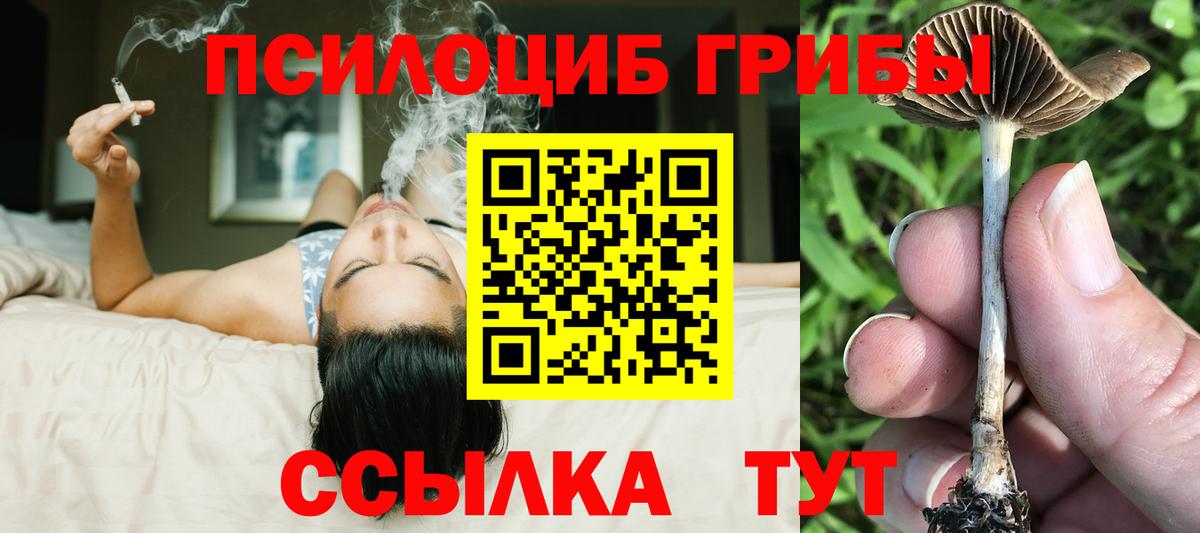 Крымск  Галлюциногенные грибы ЛСД  Вход с VPN  Галлюциногенные грибы Psilocybe 