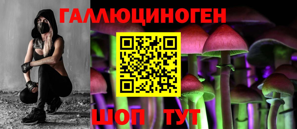 Галлюциногенные грибы Psilocybe Крымск